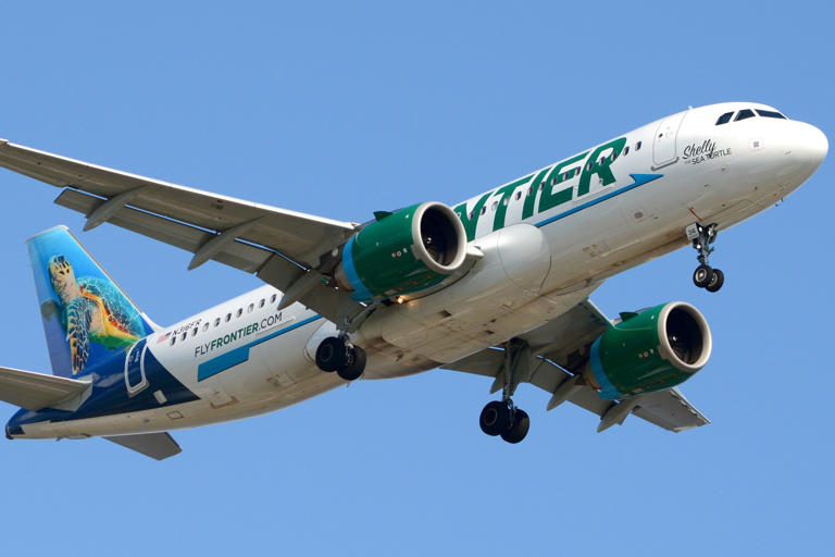 Explained: Frontier Airlines' Pet Policy
