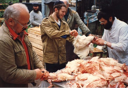 el tribunal europeo de derechos humanos avala prohibir el sacrificio animal mediante los rituales halal y kosher