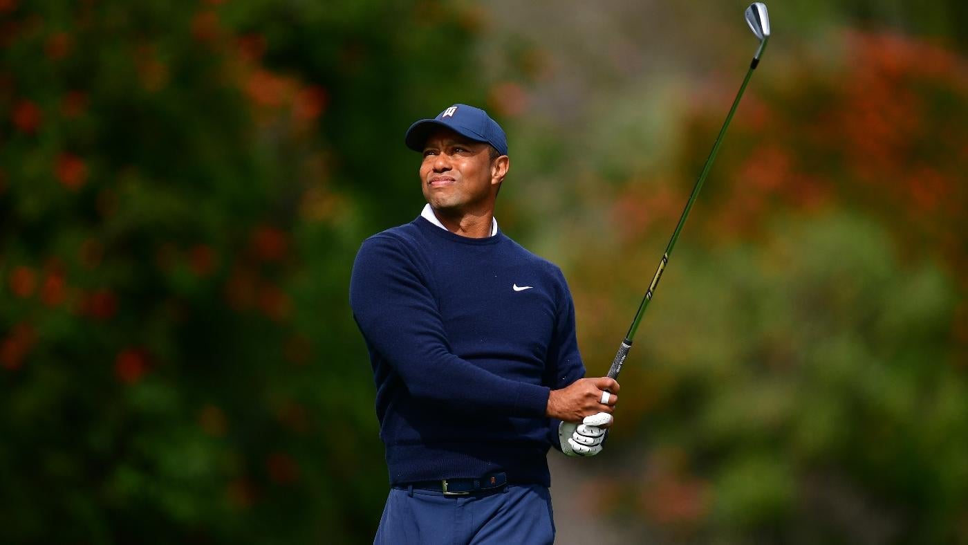 2024 Genesis Invitational Odds Picks Bets Tiger Woods Predictions By   BB1igCto.img