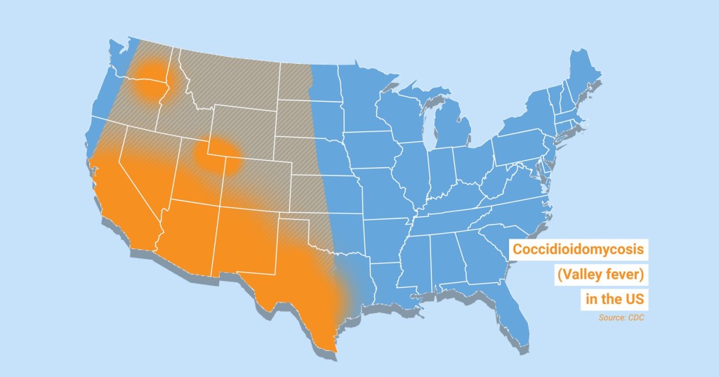 US maps show where deadly fungal diseases are surging after rise in deaths