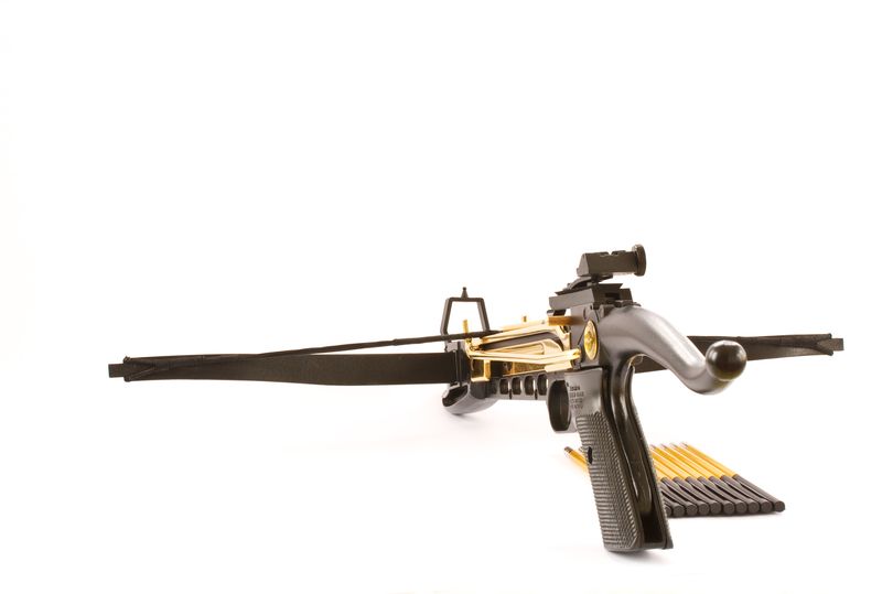 crossbow owners could face police checks under new laws