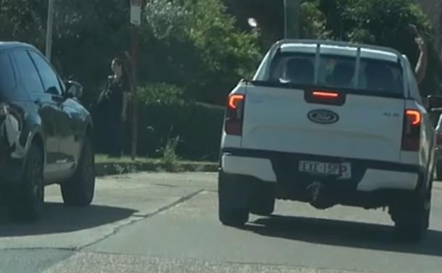dover heights: wild footage emerges of occupants in a ute with p-plates throwing objects at bystanders