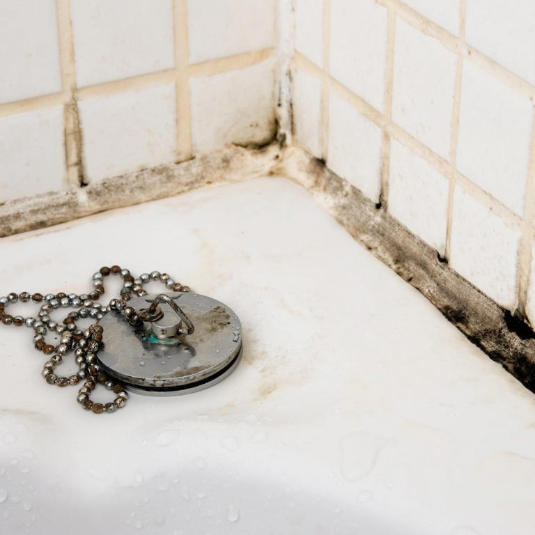 how-to-prevent-bathroom-mold