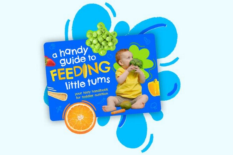 amazon, free kids recipe book for fussy eaters has 10 minute curry recipe that follows nhs advice