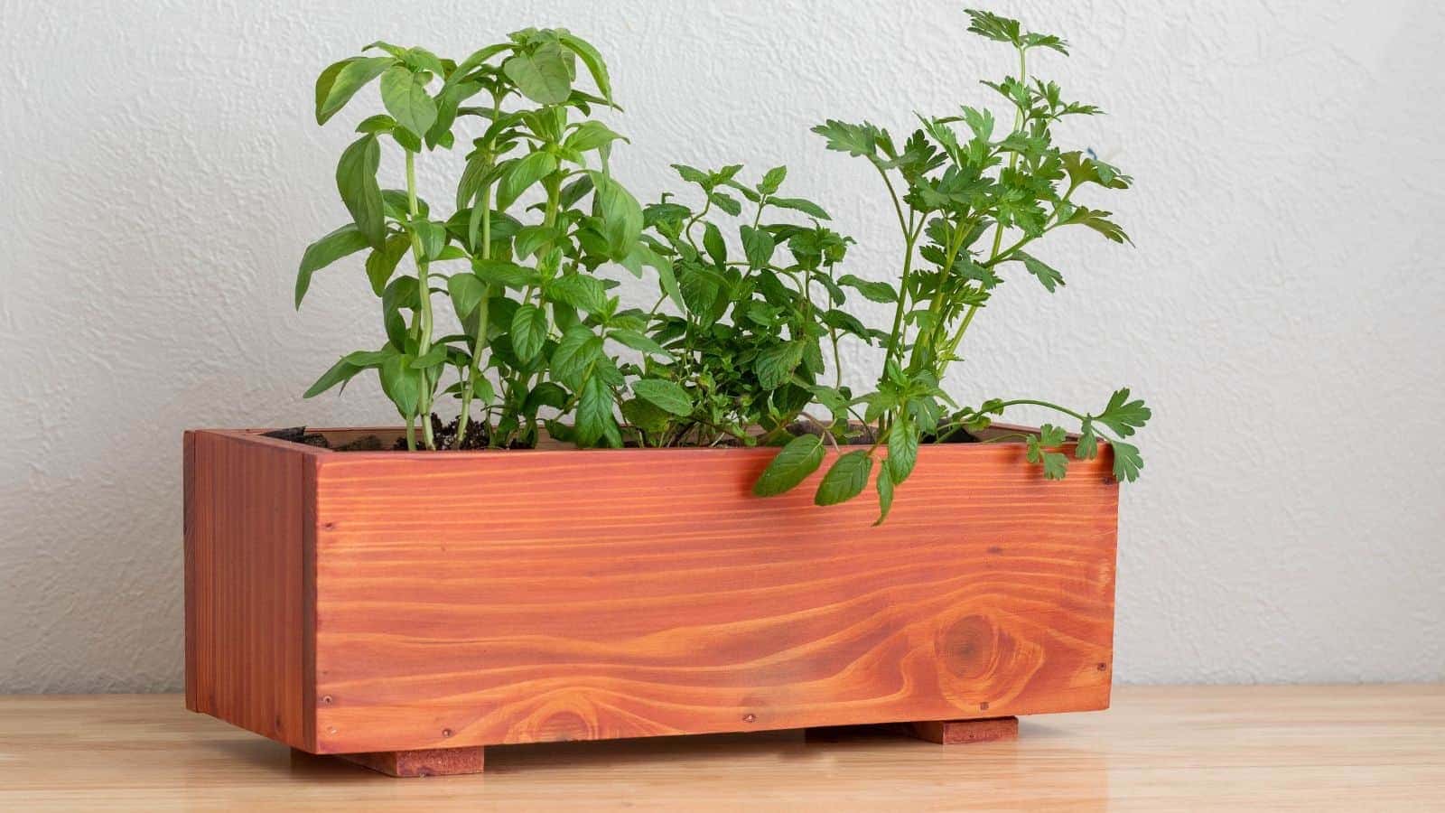 <p>Build this simple DIY planter and use it indoors or out. The simple design is perfect for herbs, flowers, or plants. </p>