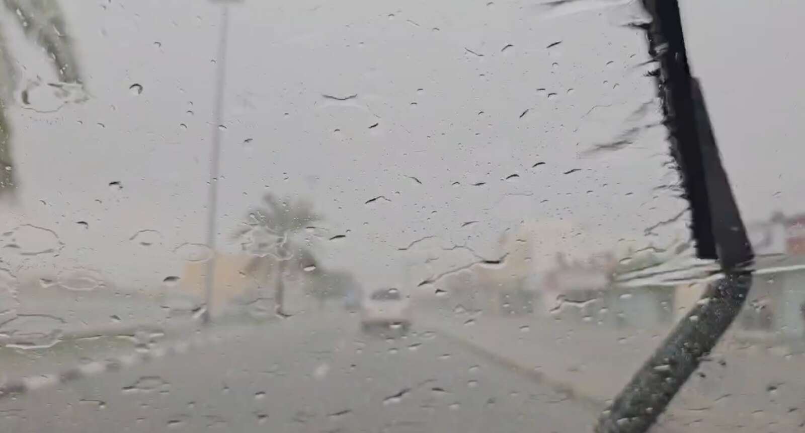 rains in uae: 61 families evacuated from their homes in sharjah, moved to hotels