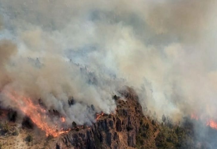 alerta máxima: ya son más de 8.200 las hectáreas arrasadas por el fuego en el parque nacional los alerces