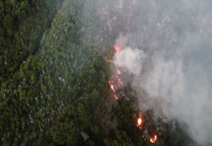 alerta máxima: ya son más de 8.200 las hectáreas arrasadas por el fuego en el parque nacional los alerces