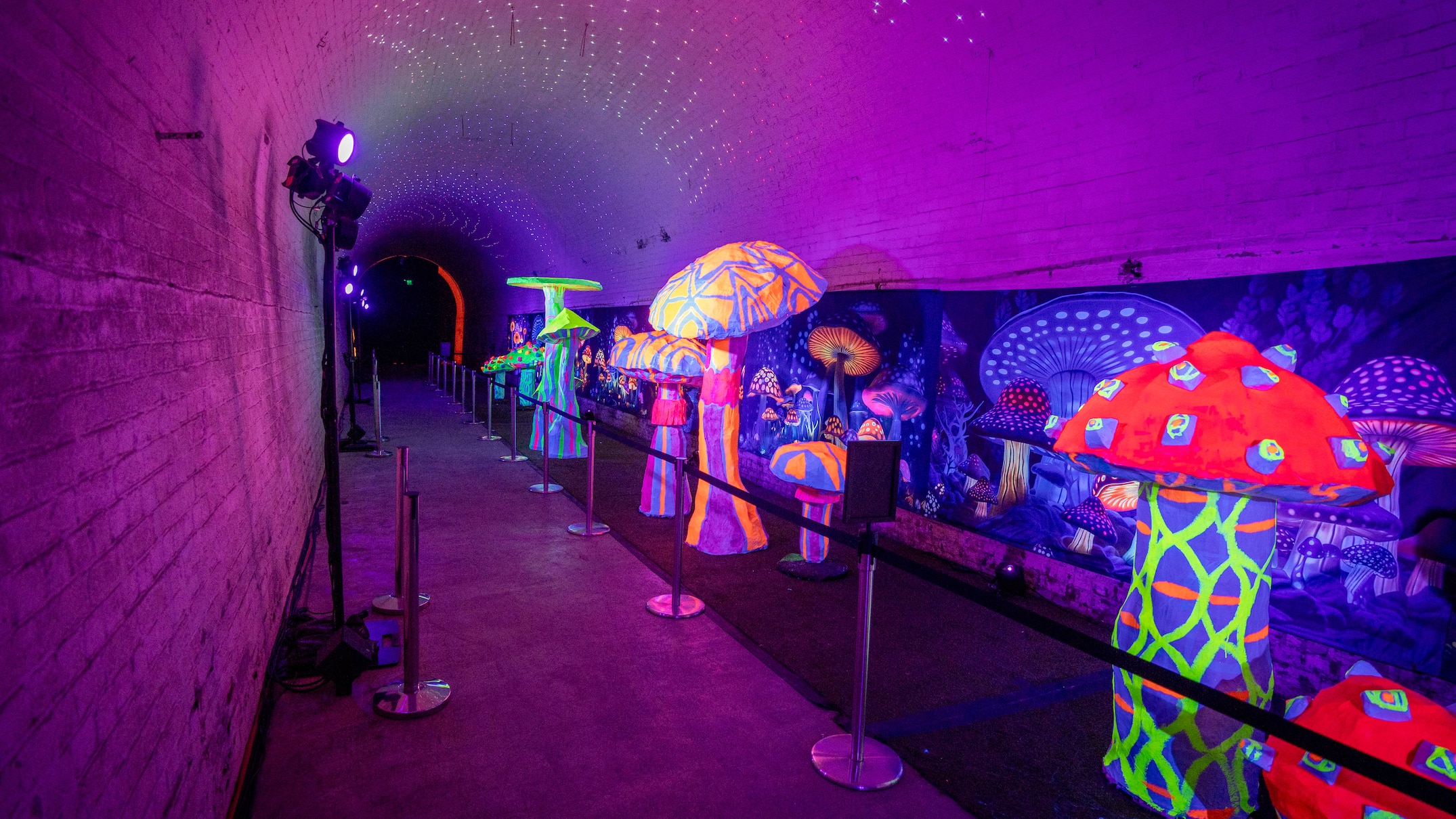 sleep's hill tunnel at panorama to open to the public for adelaide fringe