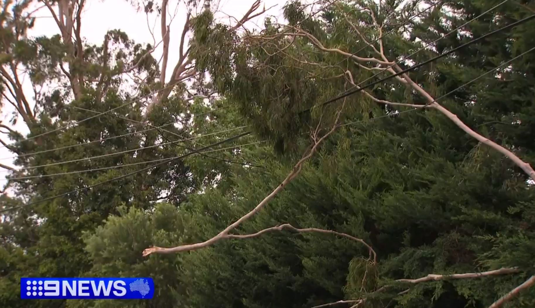 Victorians Left Homeless While Tens Of Thousands Remain Without Power