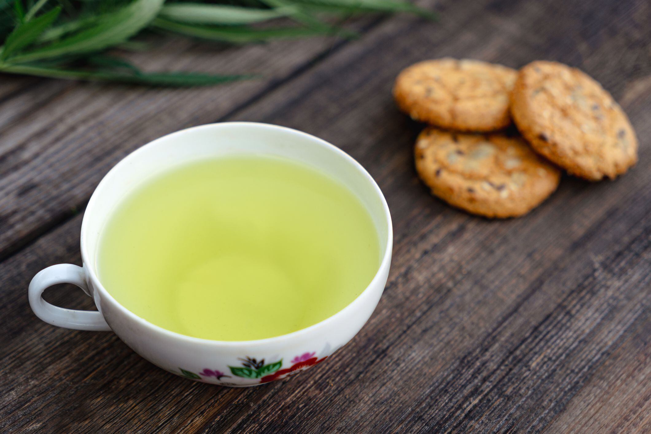 ¿qué efectos tiene el consumo de té de guayaba en el colesterol?