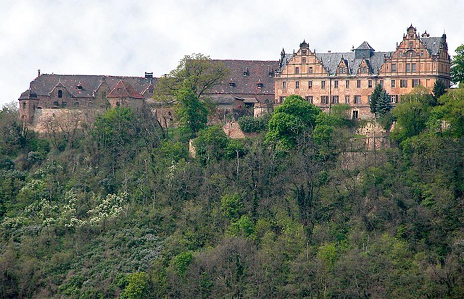 <p>This mysterious castle in the town of Querfurt, Germany, is located high up on an old vineyard, surrounded by beautiful landscapes in the middle of the beautiful region of Saale-Unstrut.</p>  <p>A dream vineyard estate, the neo-Renaissance-style building was mysteriously left deserted by its owners.</p>