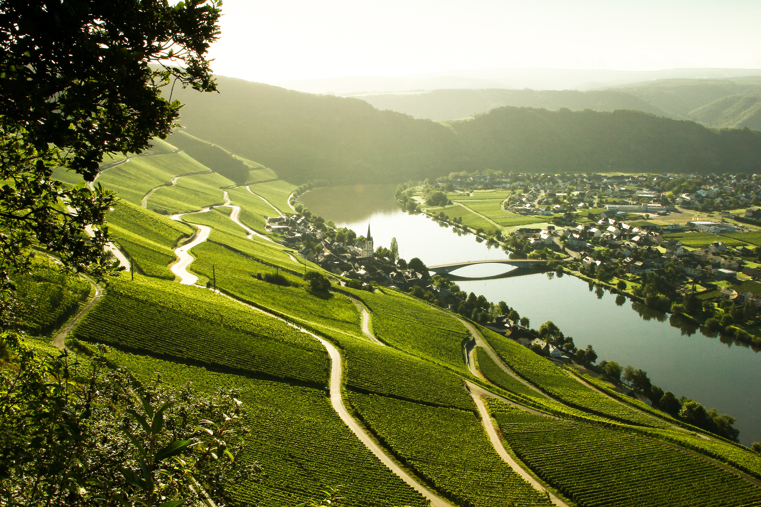 <p>An underrated wine region in Europe that stretches from Luxembourg to Germany. You can sample grapes (mostly whites, including award-winning Riesling) among medieval castles, beautiful river views, and terraced vineyards, or book a tasting cruise along the Mosel River. Even the drive or train ride there is memorable, as you’ll journey between sides of a canyon covered in impressive ancient fortresses and wineries.</p><p><a href='https://www.msn.com/en-us/community/channel/vid-cj9pqbr0vn9in2b6ddcd8sfgpfq6x6utp44fssrv6mc2gtybw0us'>Follow us on MSN to see more of our exclusive lifestyle content.</a></p>