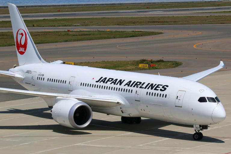Japan Airlines & IndiGo Prepare To Launch New Codeshare Agreement This Winter