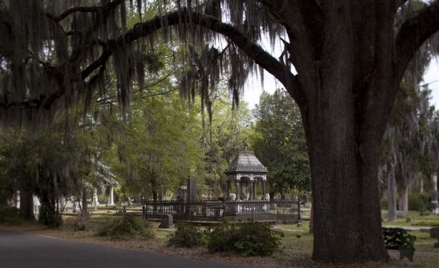 20 most beautiful places in alabama, according to a native alabamian