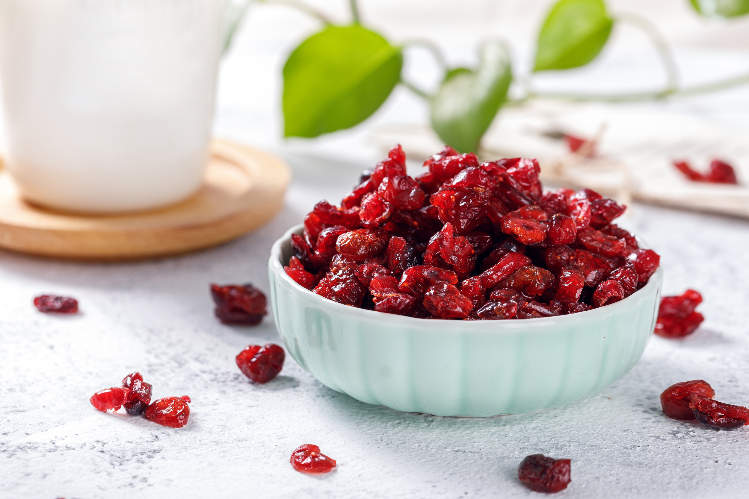 <p>If you’re not a raisin fan (we are; more on that later), you might still be down with dried cranberries. They’re about the same size and consistency of a raisin but with added tartness along with the sweetness. Cranberries also contain potassium, calcium, and numerous antioxidants.</p><p>You may also like: <a href='https://www.yardbarker.com/lifestyle/articles/easy_and_delicious_apple_desserts_the_whole_family_will_enjoy_021424/s1__21989671'>Easy and delicious apple desserts the whole family will enjoy</a></p>