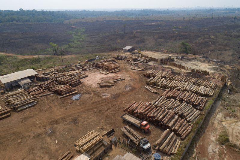amazon, studie: amazonskému pralesu hrozí, že bude do roku 2050 nenávratně poškozen