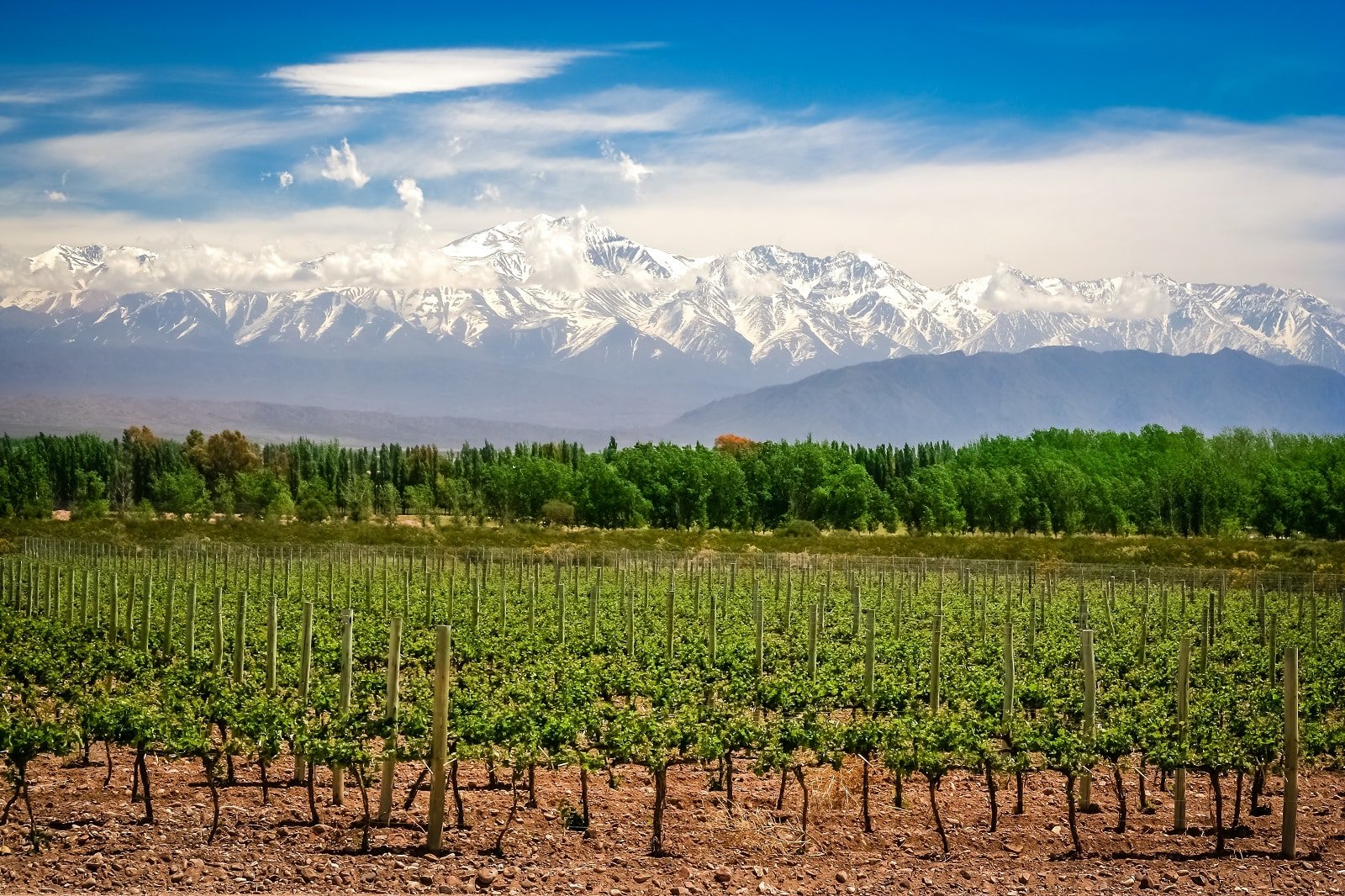 <p><span>You’ll find Mendoza, the epicenter of Argentina’s wine country, in a region synonymous with the celebrated Malbec grape. This area is not just about exceptional winemaking; it’s a place where the stunning natural environment enhances the entire experience. Situated at the foothills of the Andes, Mendoza provides a dramatic backdrop to your wine-tasting journey.</span></p> <p><span>The towering mountains contribute to the region’s unique terroir and offer a range of outdoor adventures. From hiking and mountain biking to simply enjoying the panoramic views, Mendoza combines the pleasures of wine with the thrill of adventure. Here, you can savor some of the world’s best Malbecs while immersing yourself in a landscape that is as bold and robust as the wines it produces.</span></p> <p><b>Insider’s Tip: </b><span>Visit during the Vendimia Festival to see the region’s wine culture celebrated.</span></p> <p><b>When To Travel: </b><span>March to May for the grape harvest and autumn colors.</span></p> <p><b>How To Get There: </b><span>Fly into Mendoza International Airport.</span></p>