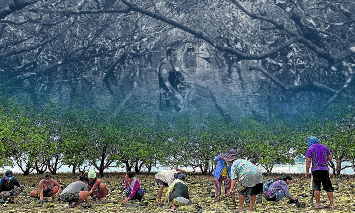 groups urge ph to restore mangroves in abandoned fishponds