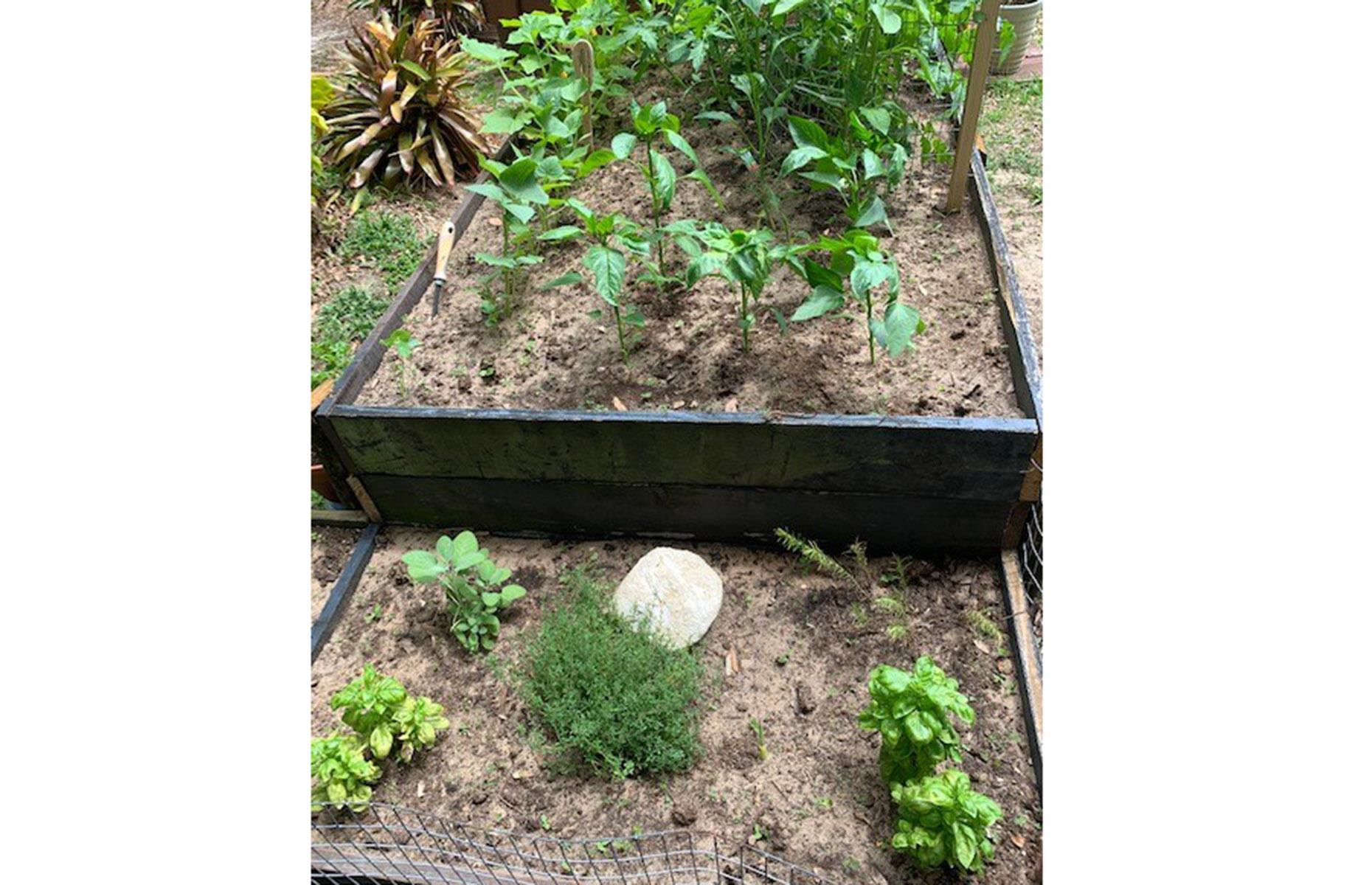 Ukraine President asks foreigners to join army despite rus