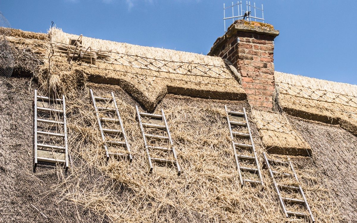 thatched cottage insurance surges as roofs ruined by miserable weather
