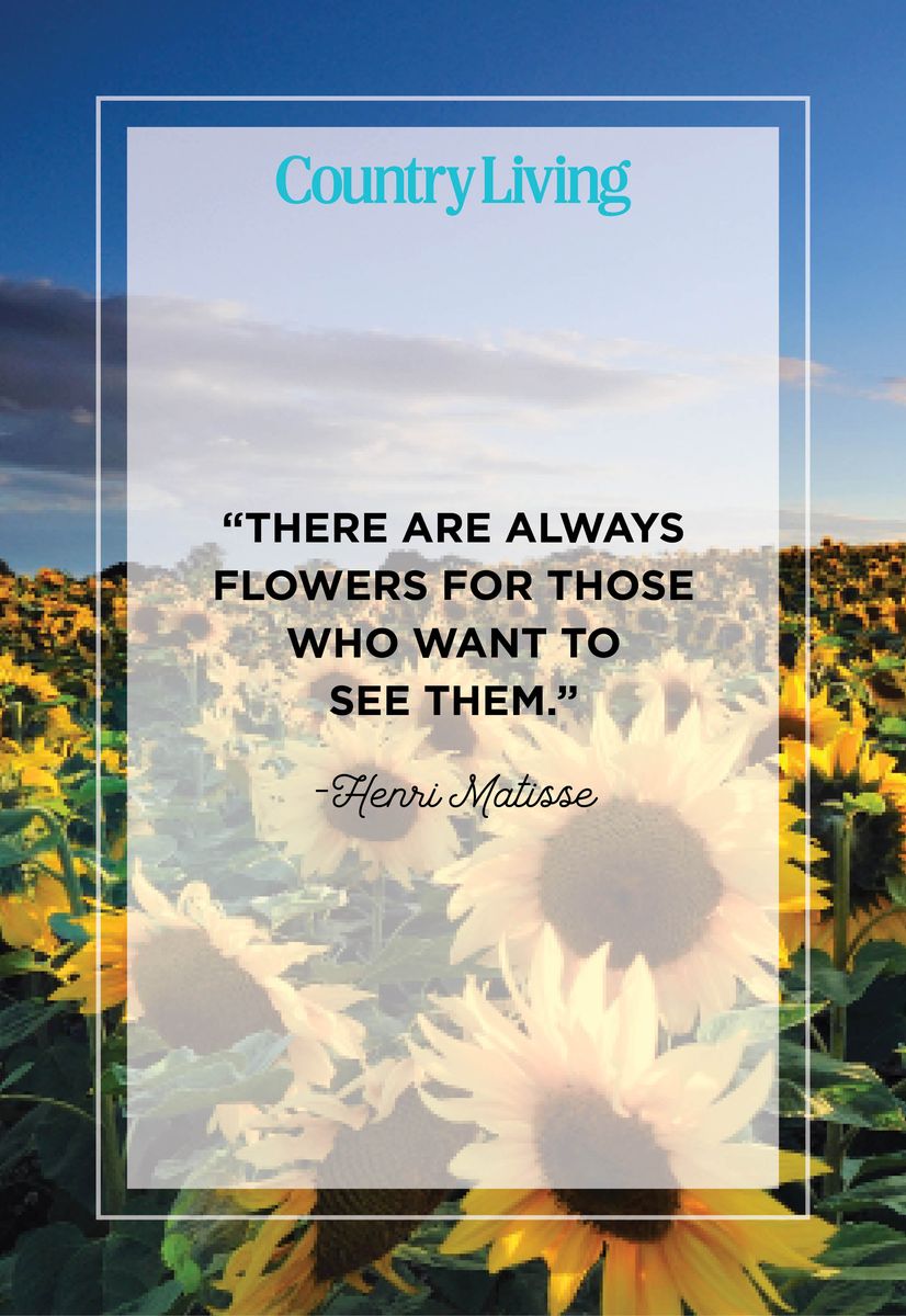 50 Happy Quotes That Will Bring a Smile to Your Face