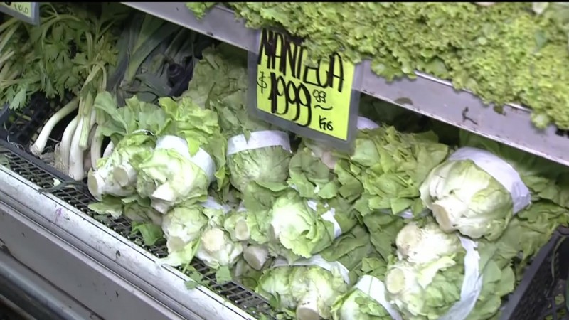 Las Verduras De Hojas Aumentaron Esta Semana Un 50%