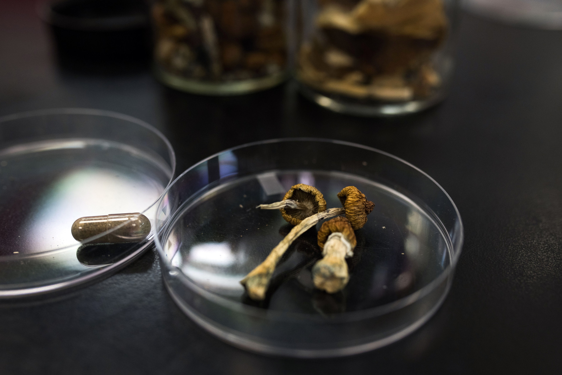 Strange facts about psilocybin mushrooms