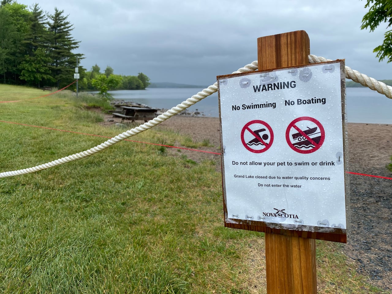 new study examines origins of toxic bacteria that killed 2 dogs at halifax-area lake