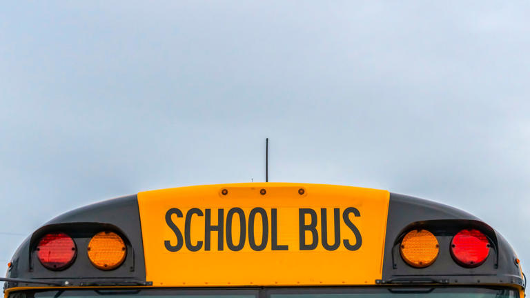 Rush City, MN school bus driver arrested after suspicion of ...