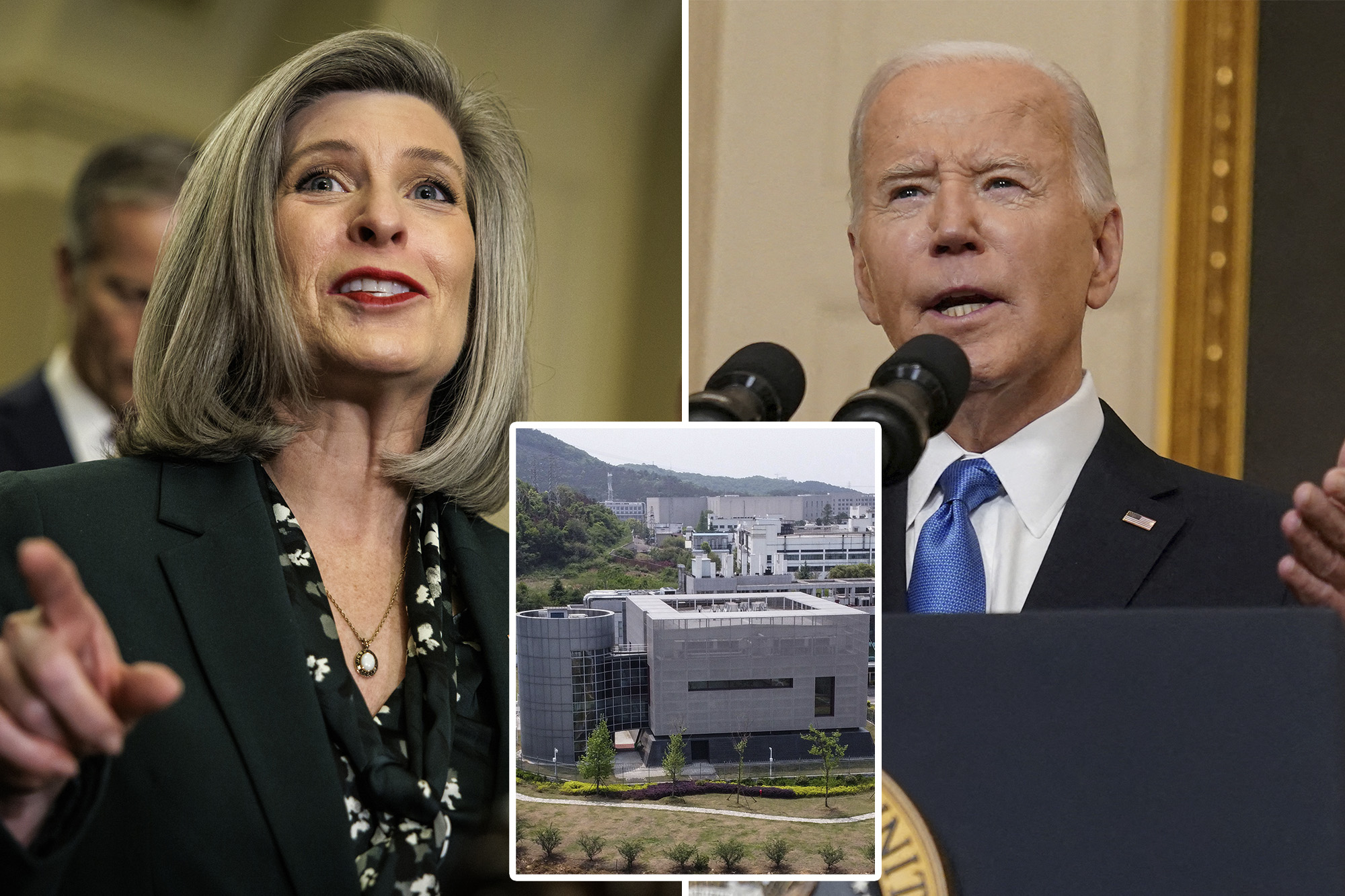 Sen. Joni Ernst Demands Answers On Biden USDA’s $1M ‘dangerous Bird Flu ...