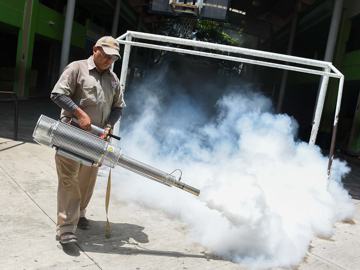 acapulco, primer lugar en número de contagios de dengue con 1430