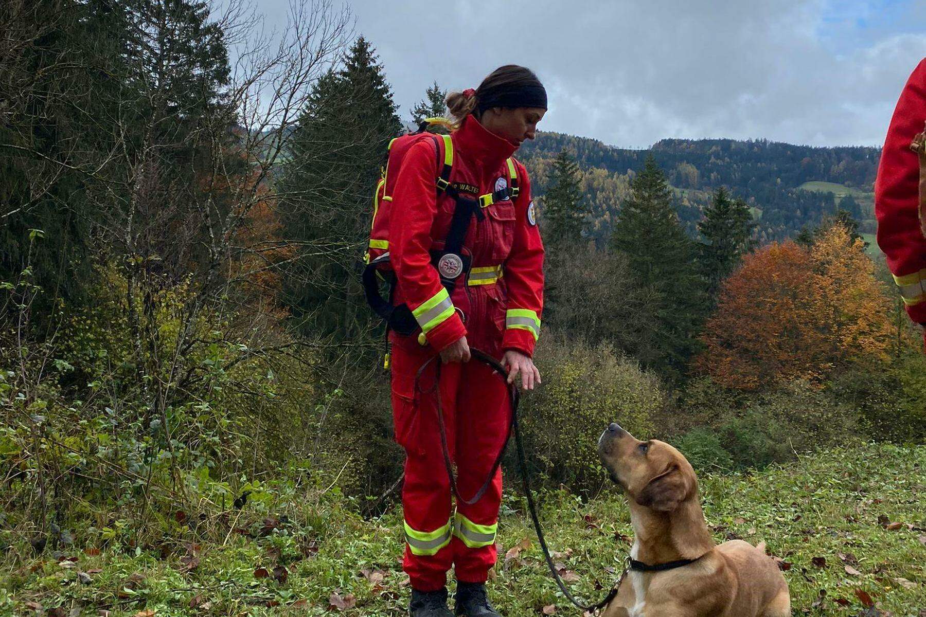 Rettungshunde Im Einsatz: Erfolgreiche Suchaktion Nach Vermisstem In ...