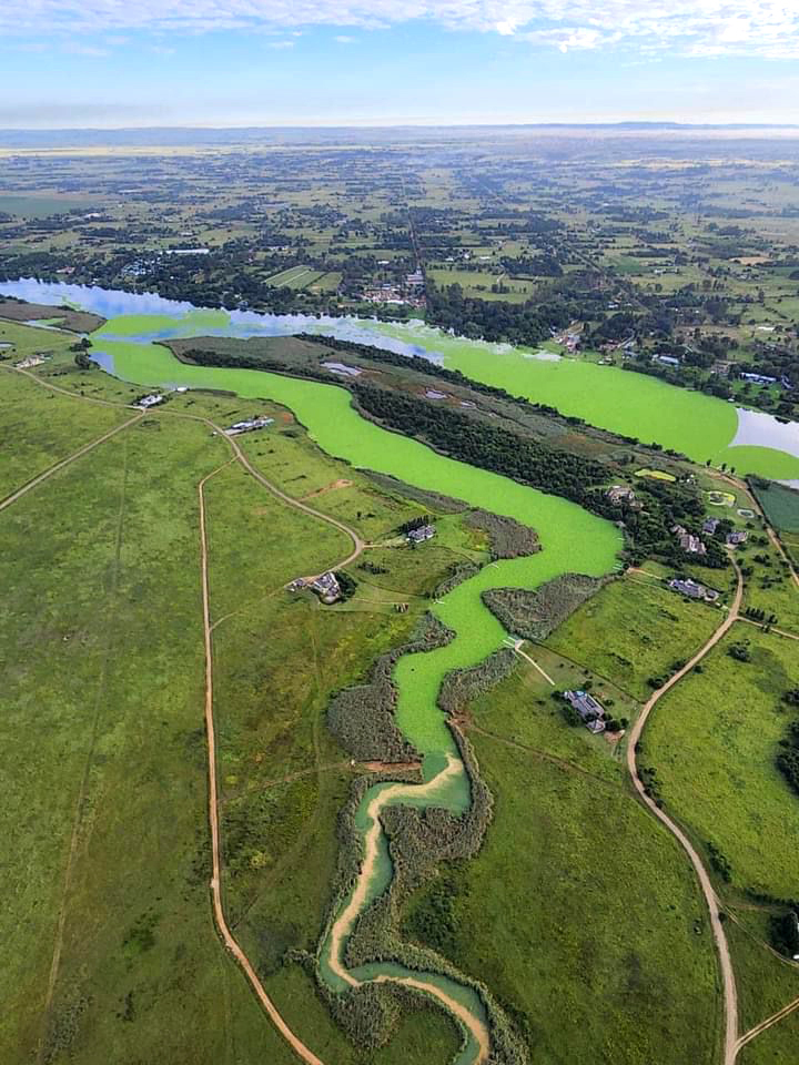 spraying of controversial herbicide on vaal river water lettuce begins – critics urge caution