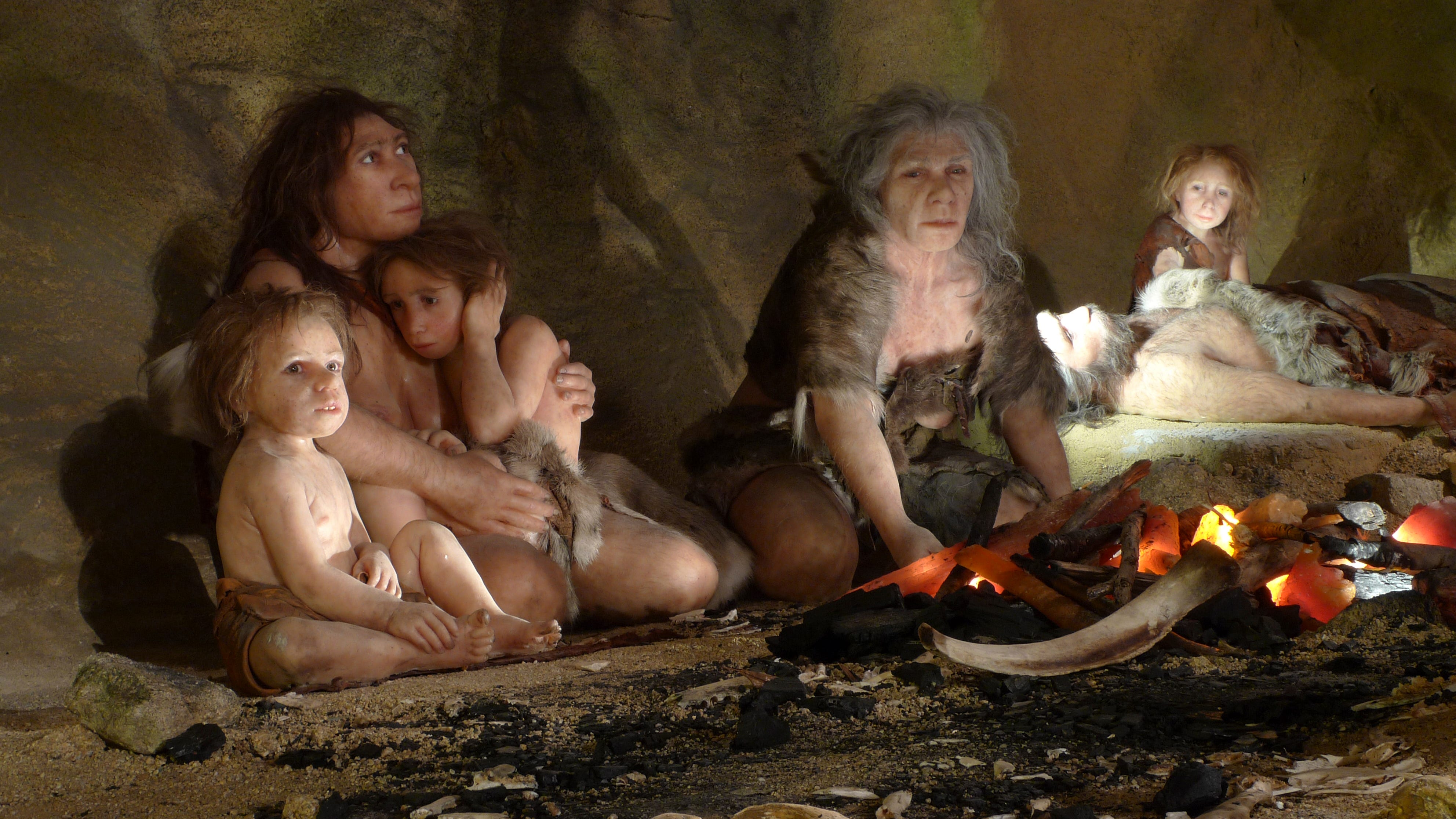 'intellectually inferior' humans caused neanderthals to go extinct, a new book claims
