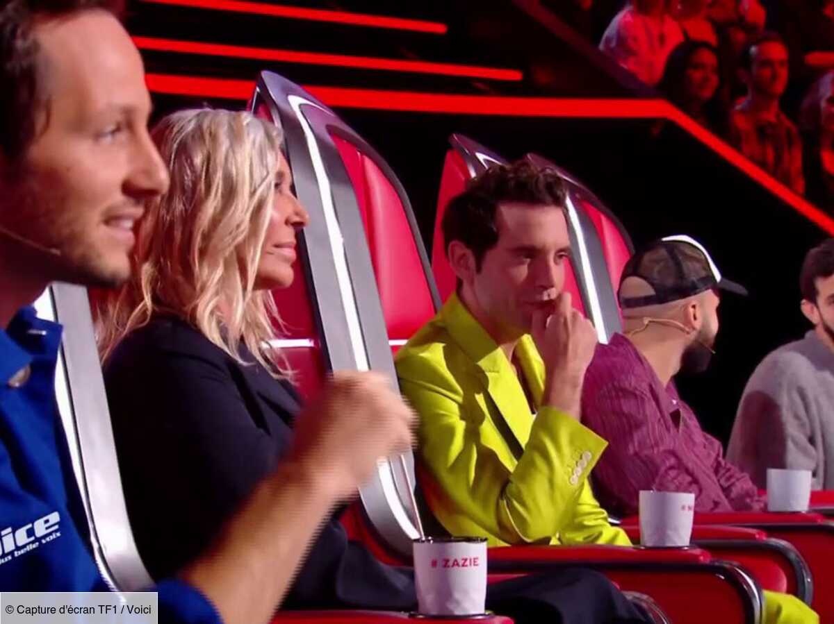 The Voice : Ces Deux Coachs Qui Ont Vu Leur Cachet Divisé Par Deux Pour ...