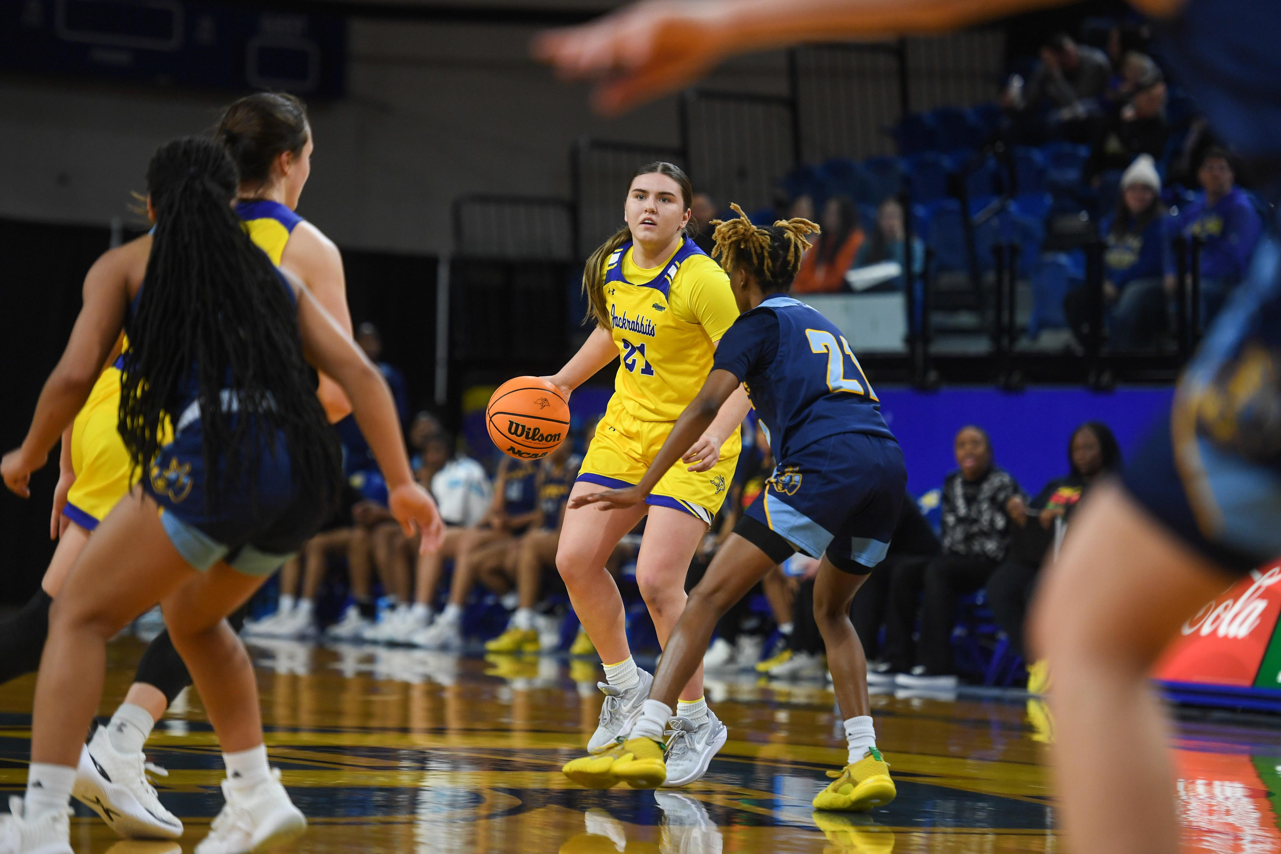 South Dakota State Women's Basketball Cruises To Summit League ...