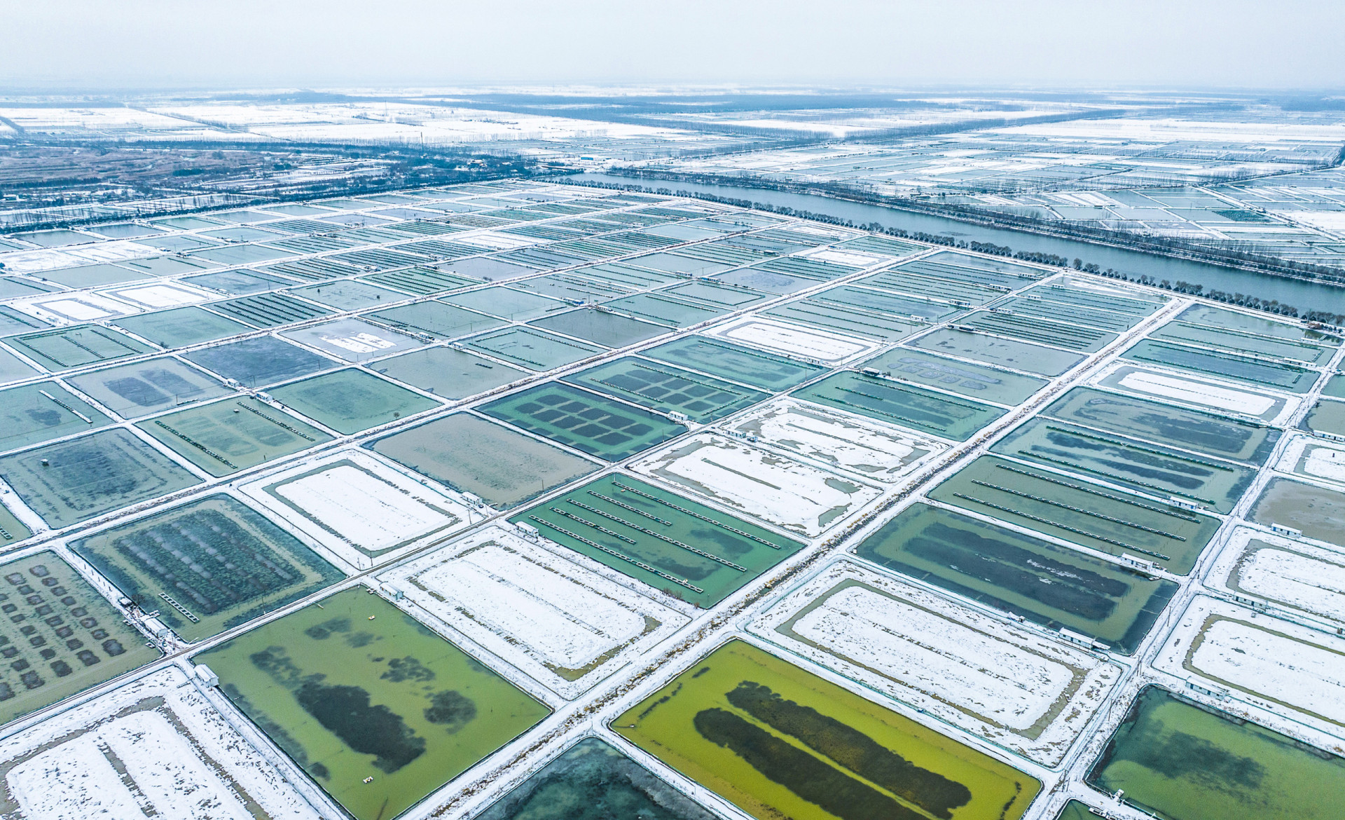 Technologische vooruitgang in de voedselproductie