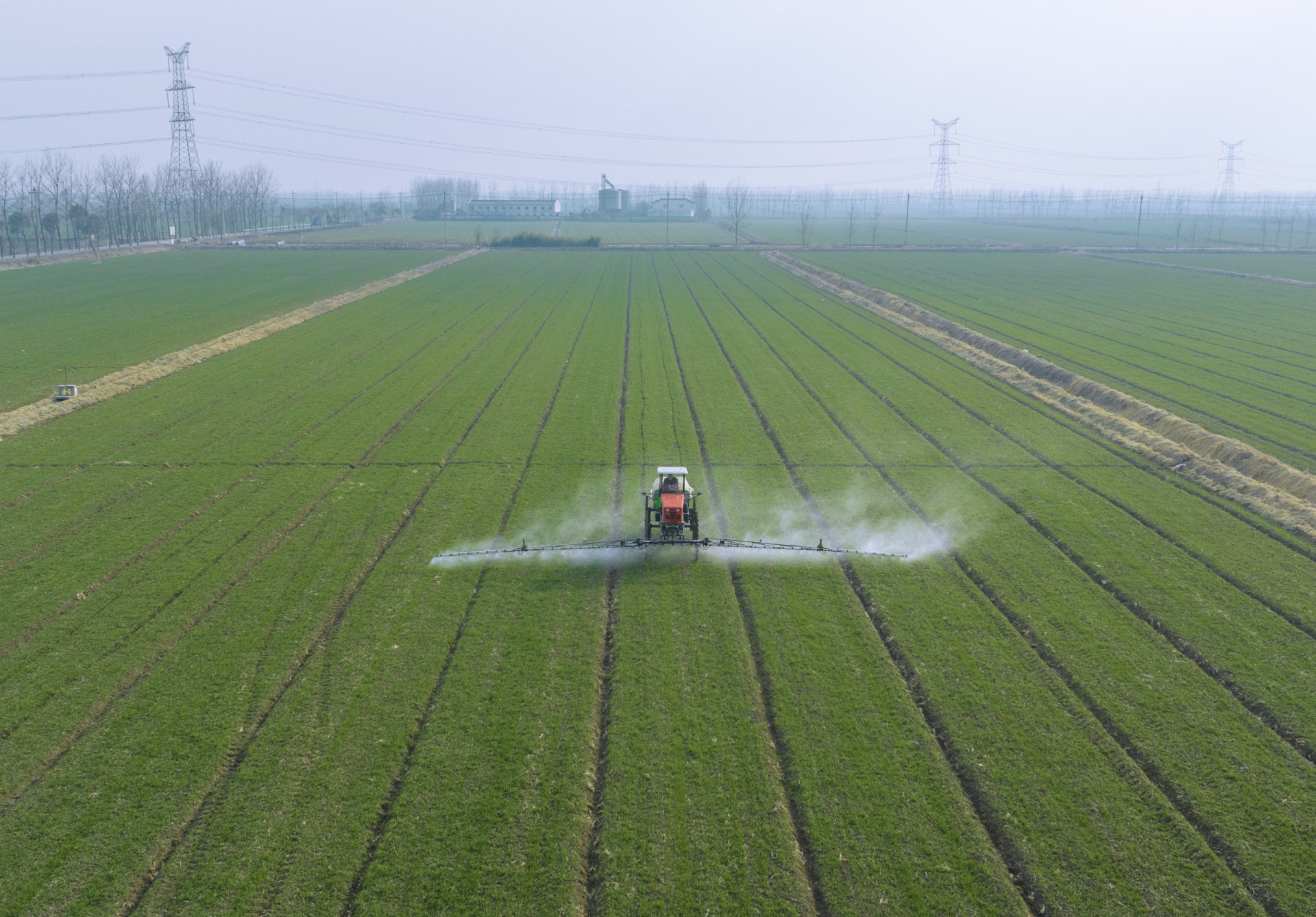 De toekomst van voedselzekerheid