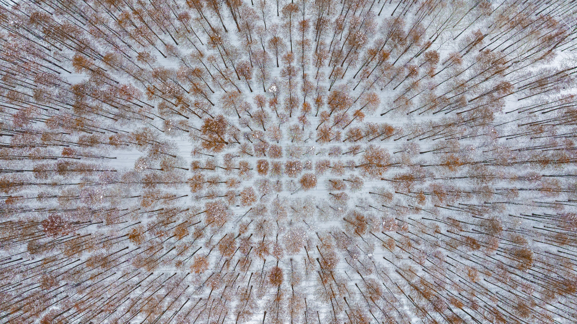 Het belang van biodiversiteit bij het in stand houden van de menselijke bevolking