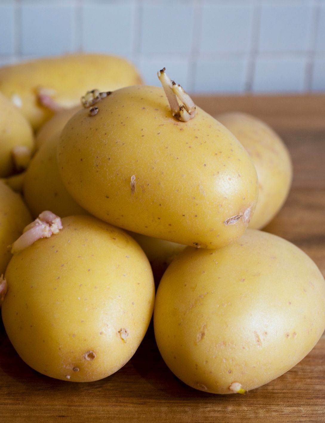 comment éviter que les pommes de terre germent trop vite ?