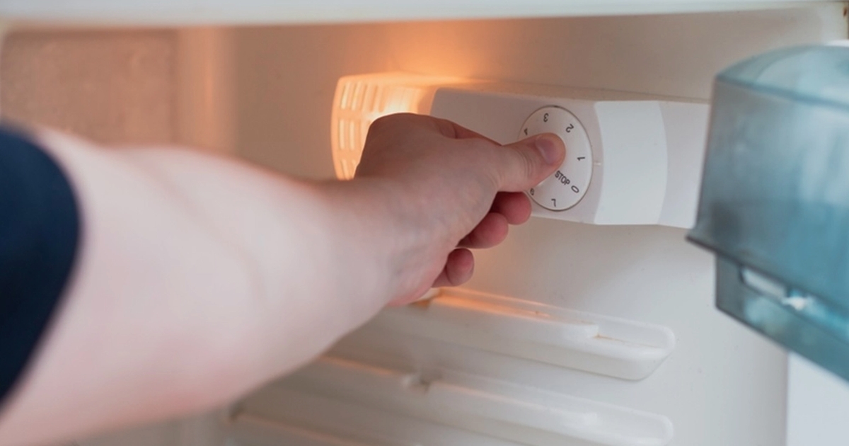 små justeringar sparar mycket i plånboken: här är den ideala temperaturen i kylskåpet