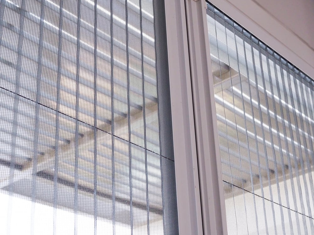 Bonus zanzariere 2024 come funziona, aliquota, FAQ Superbonus