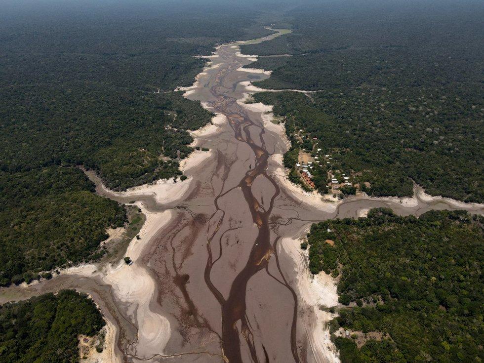 amazon, ny studie om regnskog: amazonas kan kollapse mye tidligere enn forventet