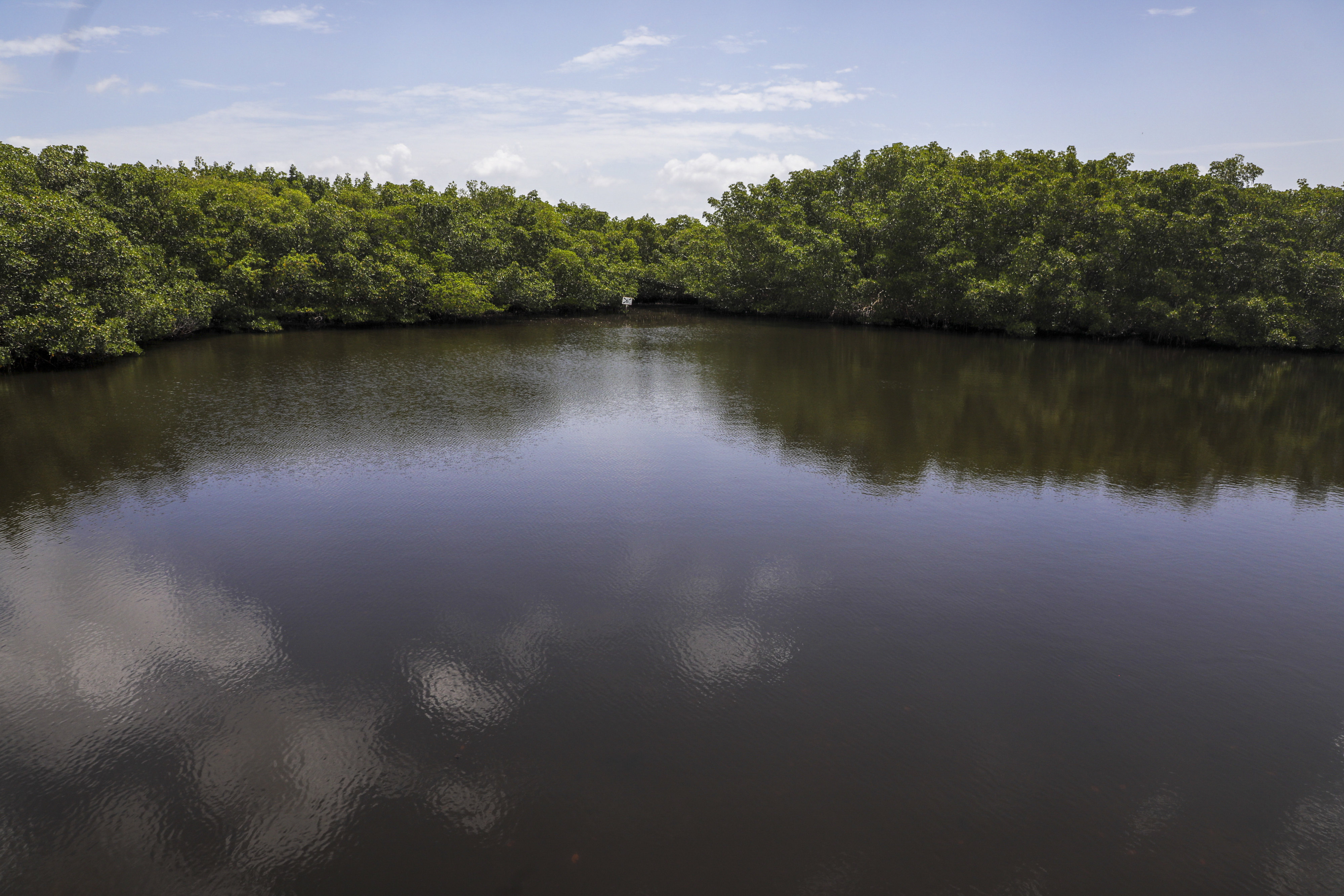 federal judge ends florida’s oversight on wetland development