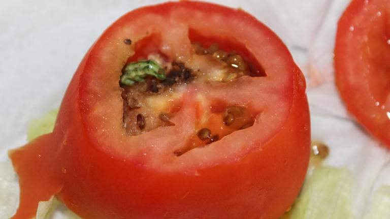 The Clever Way You Should Be Reusing Your Split Tomatoes In The Garden