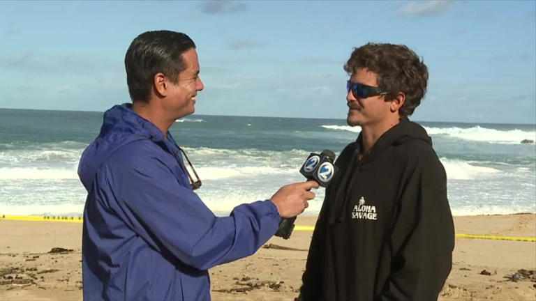 WATCH: Surfers charge huge waves at Waimea Bay, Peahi