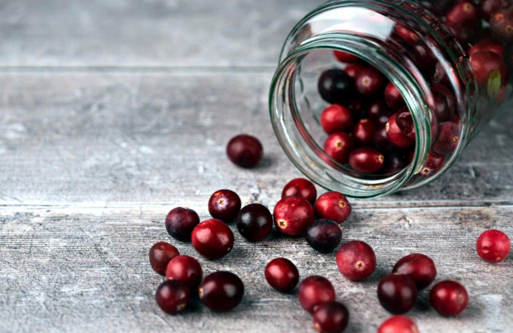 cranberry – alles über die wunderbeere