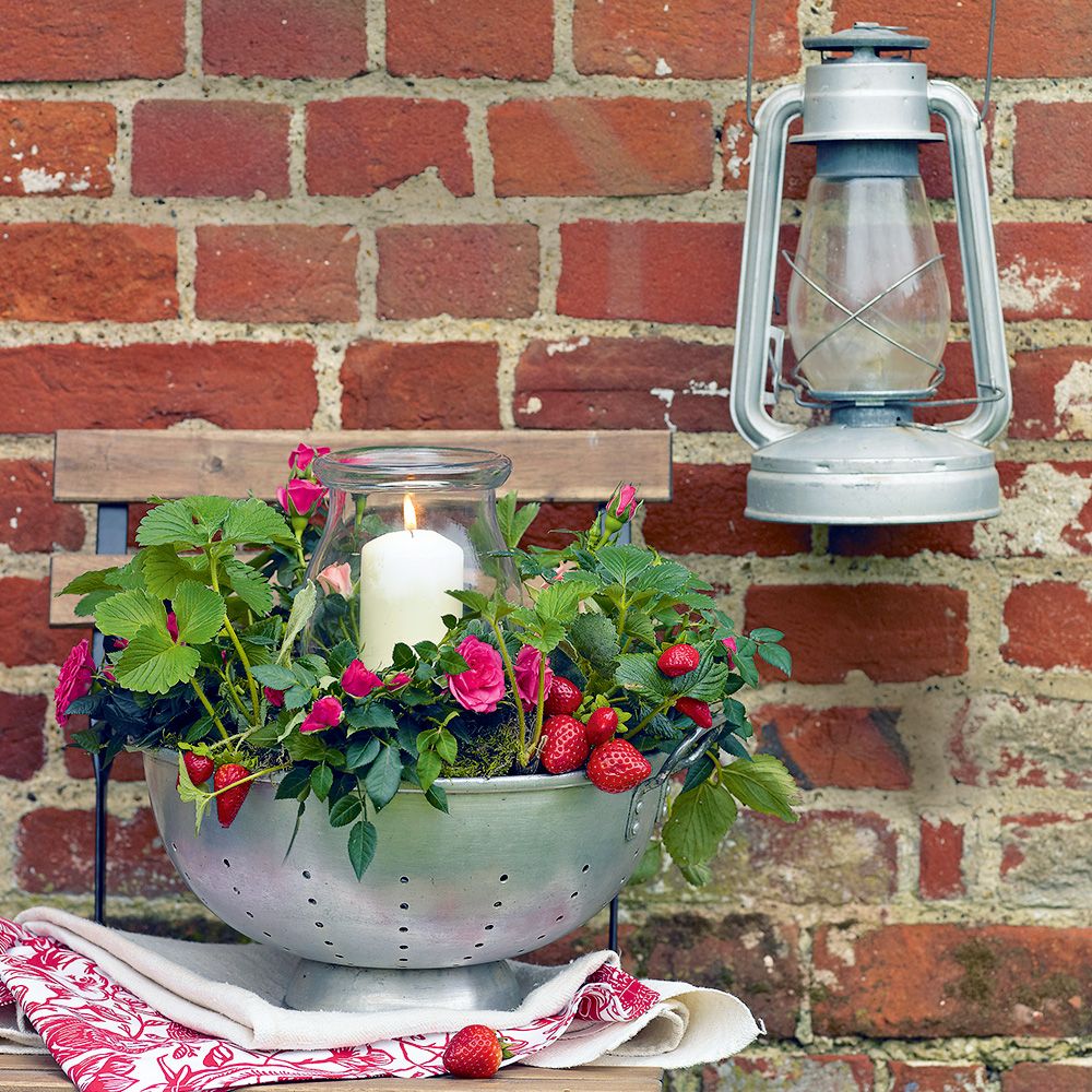 <p>                     Talking of colanders, due to their amazing drainage, they make great hanging baskets or strawberry planters. How's that for a free garden idea? Do remember though, they may be heavier than a standard design, so make sure your existing bracket can take the weight.                   </p>