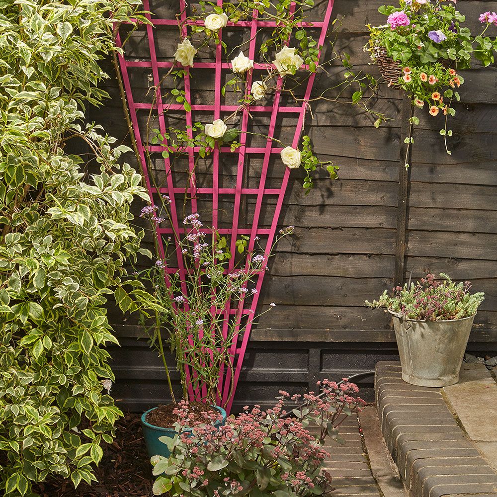 <p>                     We started to see the rise during last summer's DIY frenzy – homeowners were recycling old slatted bed bases to make ingenious vertical planters. Simply remove the base, cut to size and securely attach to the garden fence.                   </p>                                      <p>                     Vertical planting is a great way to add colour into your front garden, where space may be at a premium.                   </p>